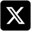 X Icon